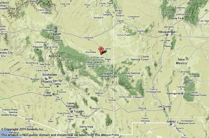 Cheap Land for Sale in Concho Arizona